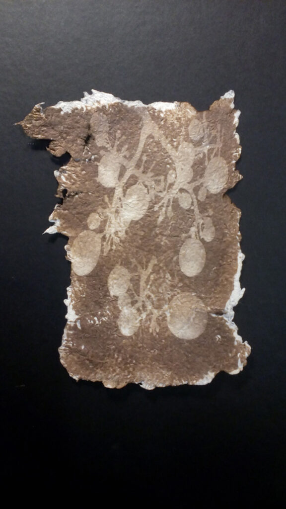 IMG 20200818 191158 1200px