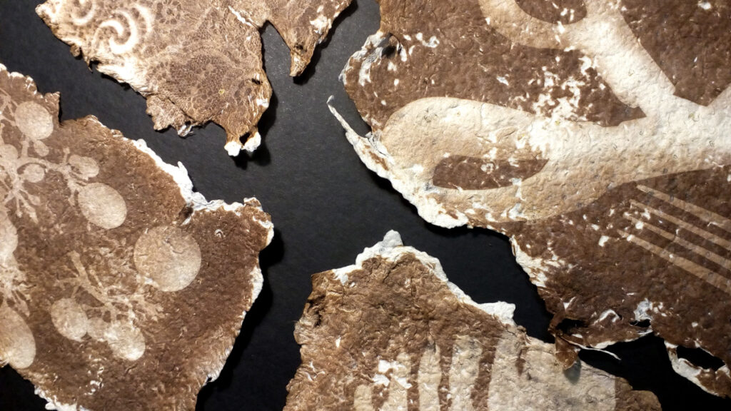 IMG 20200818 203528 1 1200px