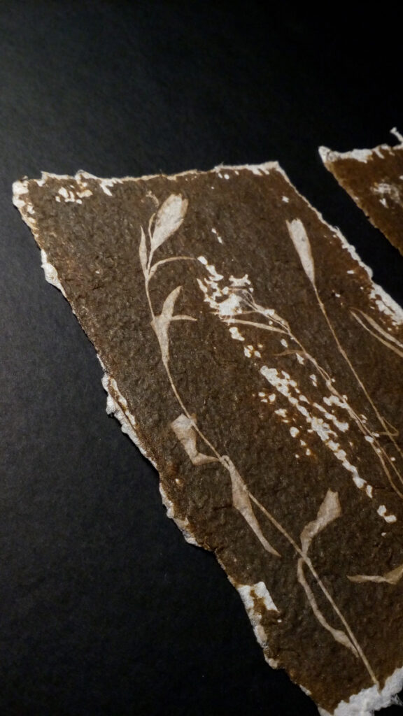 IMG 20200830 144138 1200px