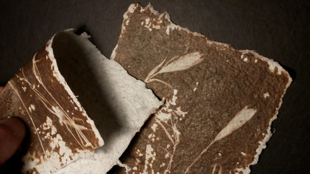 IMG 20200830 153431 1200px