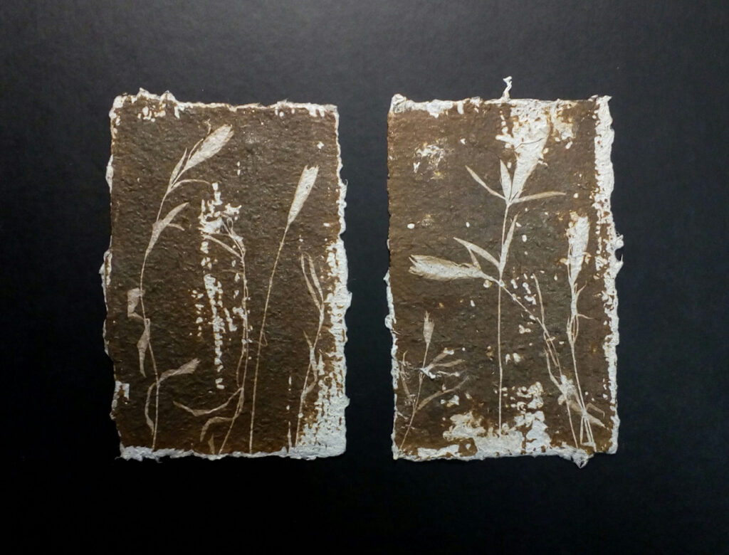 IMG 20200831 004744 984 1200px